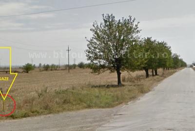 Doar 18 euro/mp, teren Industrial 10700 mp pe colț, GAZE,curent Doar 18 euro/mp, teren Industrial 10700 mp pe colț, GAZE,curent - 4