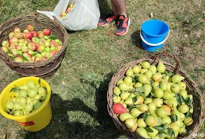 Berceni Dobreni - Varasti vila S-P+1E,singur curte, teren 900 mp - 7