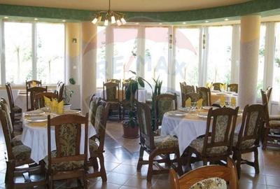 DE VANZARE Pensiune cu piscina, pastravarie, zona spa locatie de vis - 19