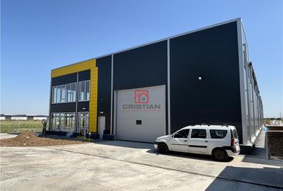 Depozit/hala/spatiu industrial Theodor Pallady - Drumul Int - 4