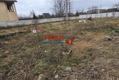 Spațiu comercial, în Cetate - 2