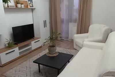 Apartament cu 2 camere semidecomandat în Sânpetru - 11