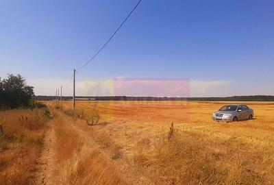 Teren pentru casa/case in Brane?ti pe strada Topora?i - 3