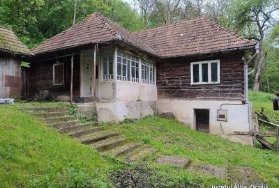 Casă cu 3 camere cu Teren 1200 Mp în Ocoliș - 2