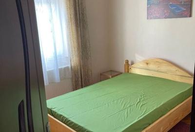 Apartament cu 2 camere semidecomandat în Turnișor - 6