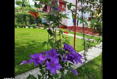 Casă cu 7 camere cu Teren 563 Mp în Exterior Vest - 6