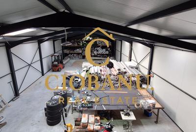 Hala de vanzare in Racari de Jos - 8