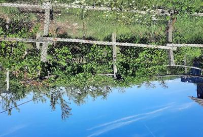 Casă cu 2 camere cu Teren 30 Mp în Târgu Logrești - 7
