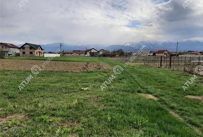 Eren intravilan 1400 mp de pe Valea Avrigului - 5