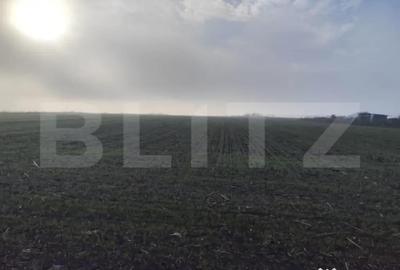 Teren de 8400 mp, în Miroslava - 4