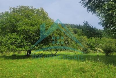 Teren pentru cabana/pensiune zona Lac Micesti! - 3