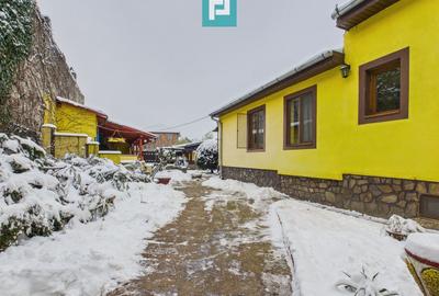 Casă individuală cu 4 camere cu Piscina în Pârneava - 23