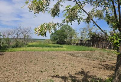 Casă cu 2 camere în Brădești - 2