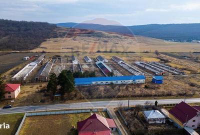 Spațiu comercial, de 800 mp, în Traian - 6