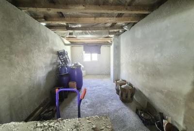 Casa Borlesti Merisani Arges - 12