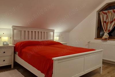 Apartament tip mansarda de inchiriat direct de la proprietar - 10