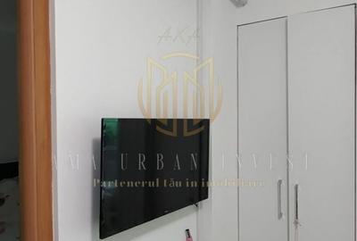 Apartament cu 2 camere semidecomandat, mobilat în Teiul Doamnei - 4