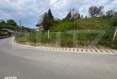 Teren de 3100 mp, în Central - 1