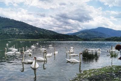 Vila de vanzare zona de munte - 4