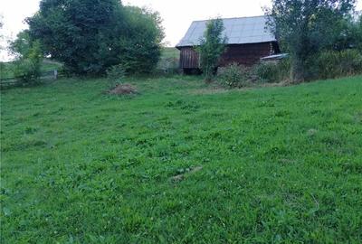 Casă cu 1 camere în Fericet - 8