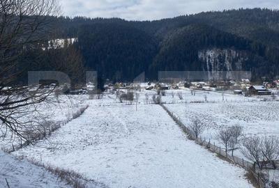 Teren de 7500 mp, în Central - 1