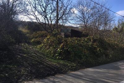 Teren de 5250 mp, în Pădureni (Chinteni) - 2