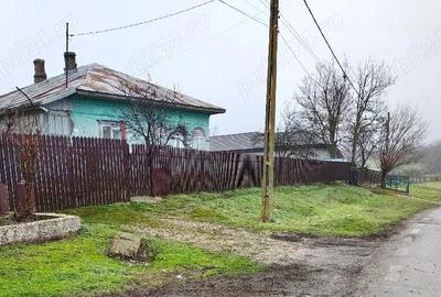Casă cu 5 camere cu Teren 1877 Mp în Săpunari - 1