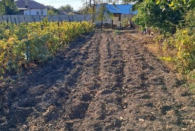 Casă cu 3 camere cu Teren 1354 Mp în Segarcea - 2