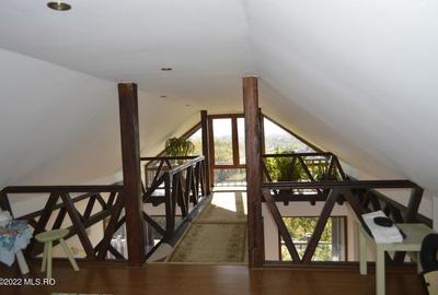 Topoloveni - Conacul Ion Mihalache, Domeniu pe 5 Hectare - 38