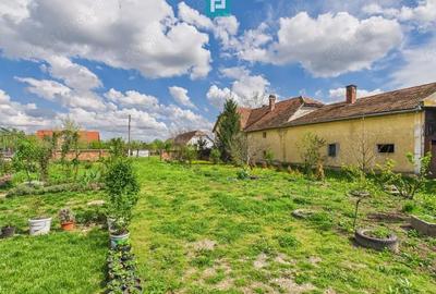 Teren 1300 mp, Beregsau Mare - 3