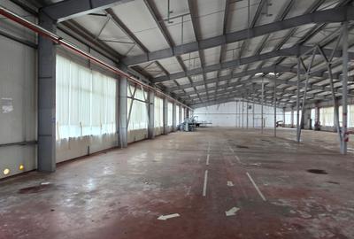 Spatii industriale  si comerciale  de inchiriat Focsani 5000 mp - 3