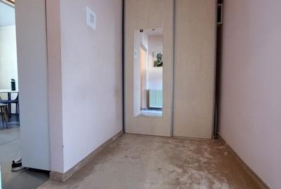 Apartament cu 3 camere decomandat, mobilat în Iosefin - 8