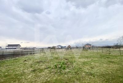 Teren Construcții intravilan de 500 mp, în Veterani - 4