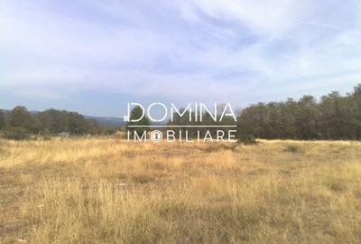 Teren Construcții intravilan de 6843 mp, în Polovragi - 5