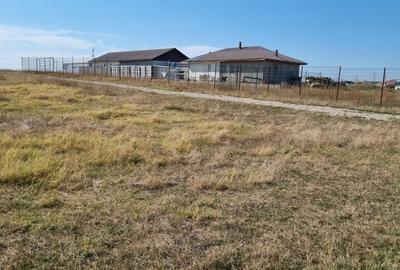 Teren Comunca Berceni - Miorita - Padurea Craiului - 2