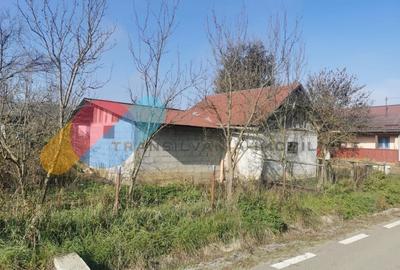 Casa individuala 100mp cu teren 8000mp - 8