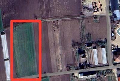 Spațiu comercial, în Borș - 1