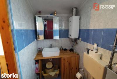 Casă cu 3 camere cu Teren 545 Mp în Lenauheim - 11