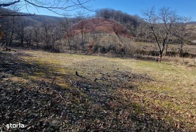 Spațiu comercial, în Pâncești - 6