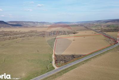 Teren de 19319 mp, în Laslea