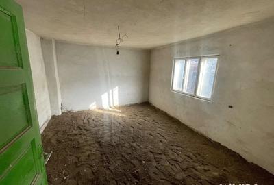 Casă cu 5 camere cu Teren 8000 Mp în Orlești - 1