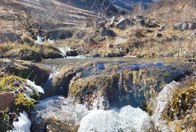 Spațiu comercial, în Izvoarele - 19