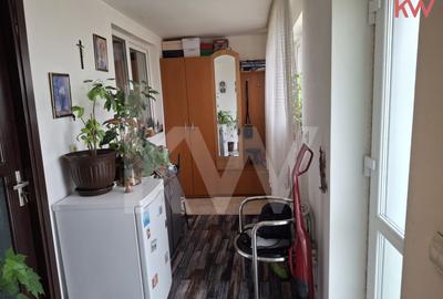 Duplex cu 7 camere cu Teren 2354 Mp în Malu Mare - 7