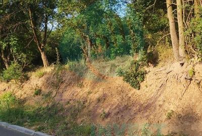 Teren Construcții intravilan de 1690 mp, în Ultracentral - 6