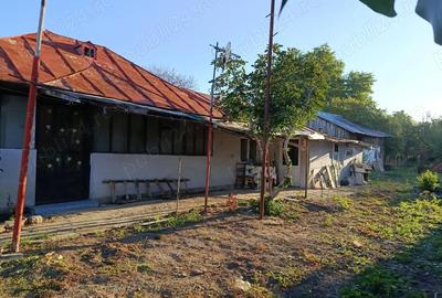 Casă cu 4 camere cu Teren 850 Mp în Boldești - 2
