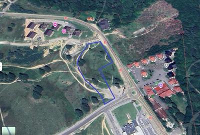 Teren Construcții intravilan de 15000 mp, în Poiana Brașov - 2