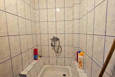 Bucurestii Noi | Casa individuala P+E cu 5 camere si pod | Curte,garaj si anexe - 29
