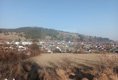 Teren de 3000 mp, în Curtești - 3