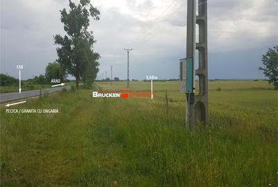 Teren de 94400 mp, în Vest - 7