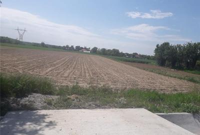 Teren de 5013 mp, în Galicea - 3